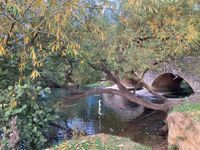 Wolvercote Bathing Area