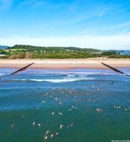 Exeter Open Water Swimming Society