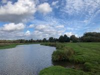 Photo 3 of River Wey, Ripley