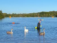 Photo 5 of Horseshoe Lake