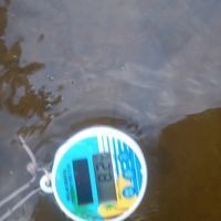 Photo 4 of Knettishall Nature Reserve