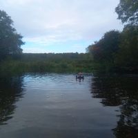 Knettishall Nature Reserve