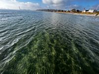 Photo 2 of Bellevue badebro