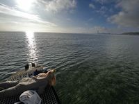 Photo 5 of Bellevue badebro