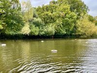 Photo 5 of Hampstead Heath (Ladies Pond)
