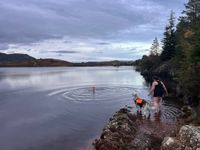 Llyn Bodgynydd (Bod Mawr)