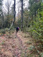Photo 2 of Llyn Bodgynydd (Bod Mawr)