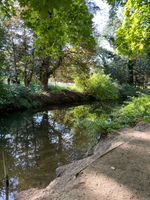 Photo 2 of River Lark