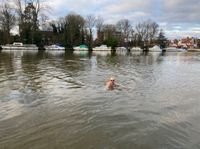 Photo 2 of Thames River near Teddington
