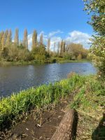 Photo 5 of Burton swoosh