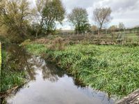 Photo 5 of Tumbling Bay