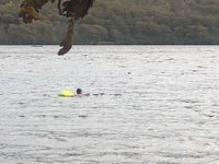 Photo 4 of Coniston Water