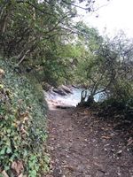 Photo 4 of Grebe Beach