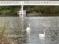 Locals joined us …..