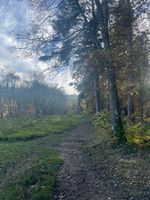 Photo 2 of Planky Mill