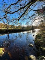 Photo 4 of Planky Mill