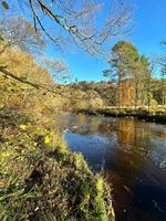 Photo 5 of Planky Mill