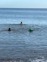 Photo 2 of Teignmouth Holcombe