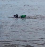 Photo 4 of Teignmouth Holcombe