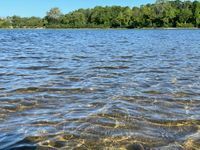 Photo 5 of Lake Leamy