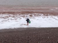Photo 3 of Budleigh Salterton