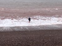 Photo 5 of Budleigh Salterton