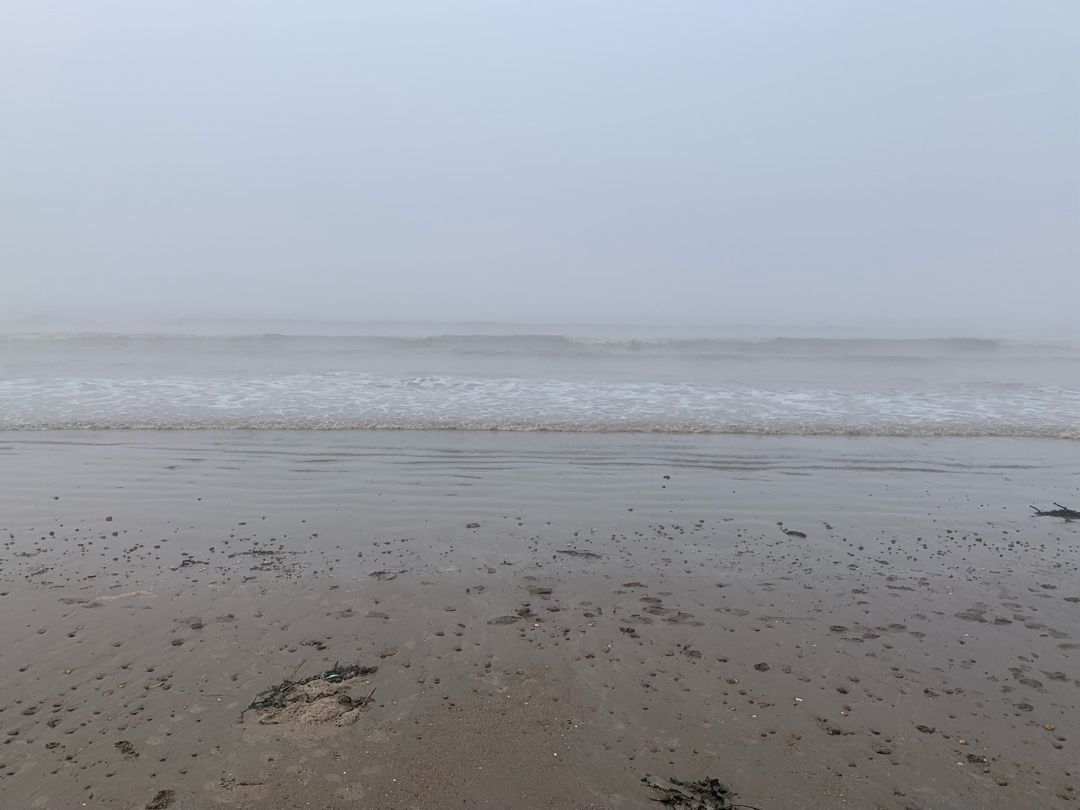Foggy morning at the beach!
