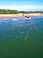 Exeter Open Water Swimming Society