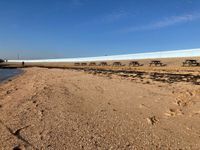 Photo 5 of Thorney bay beach