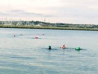 Photo 4 of Portland Harbour Castle Cove