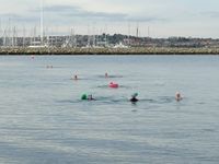Photo 5 of Portland Harbour Castle Cove