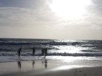 Photo 2 of Bournemouth Manor Steps