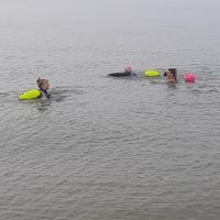 Photo 3 of Lee-on-Solent