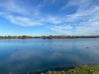 Photo 5 of Rijkerswoerdse Plassen