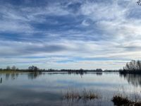 Photo 4 of Rijkerswoerdse Plassen