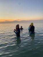 Photo 4 of Bournemouth Hengistbury West