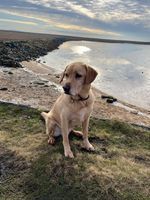 Photo 4 of Gaddings Dam