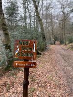 Photo 4 of Wasing Estate