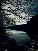 Broomhead - mangrove entrance 