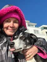 Photo 5 of Poole Shore Road Beach