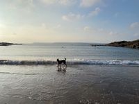 Photo 2 of West Angle Beach