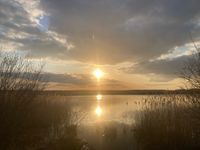 Photo 4 of St Aidans nature reserve