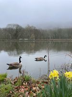 Abbeydale Industrial Hamlet