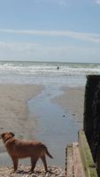 Photo 2 of East wittering beach