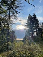 Broomhead - side entrance