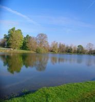 Photo 2 of Falcon Open Water Swiming