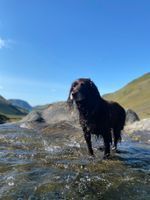 Photo 5 of Buttermere Pools