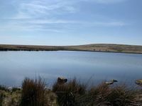 Photo 5 of Cupwith Reservoir