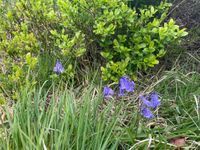 Photo 4 of Butterley Res