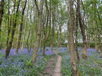 Photo 2 of Ogden Res
